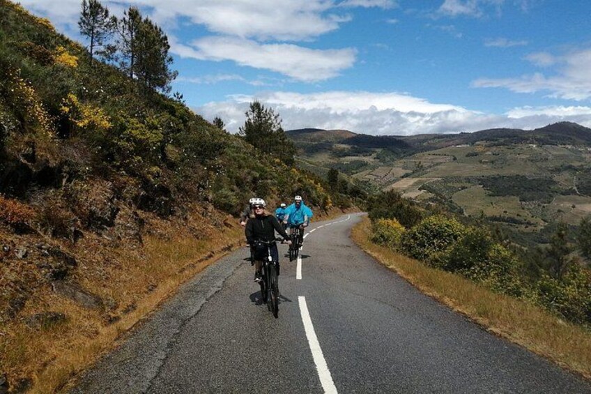 Private e-Bike in Douro Valley for Half Day Tour 3