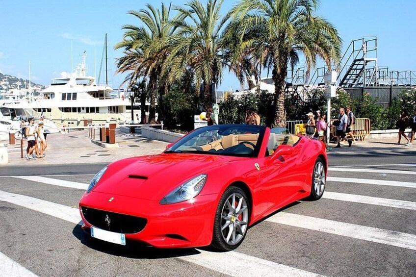 It's Gone for a Ferrari Safari! 3