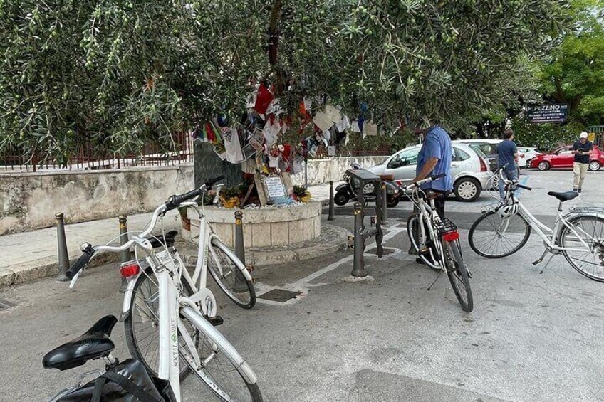 3-Hour Guided Antimafia Bike Tour at Palermo