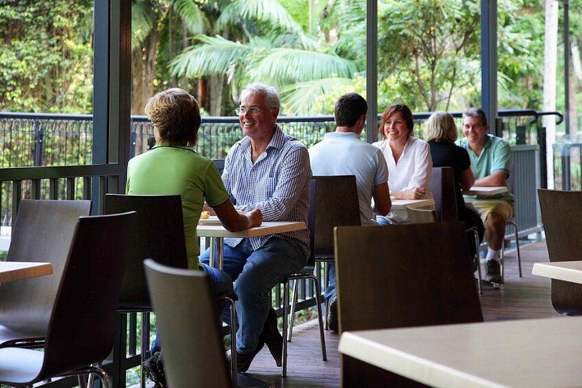 Tamborine Rainforest Skywalk + Hop on Hop off Bus from Brisbane 2