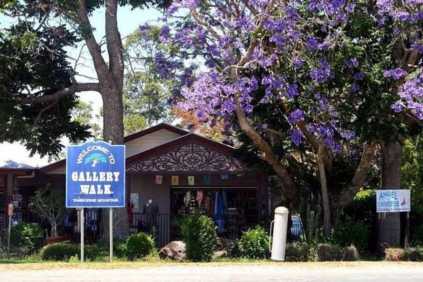 Hop on Hop Off Bus - Tamborine Mountain from Gold Coast 2