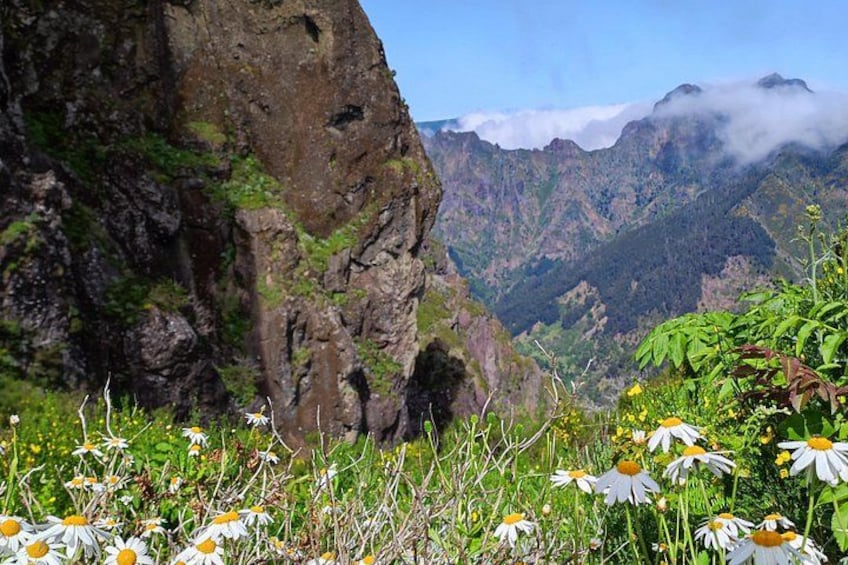 Un paisaje montañoso con un risco rocoso y flores silvestres. 4