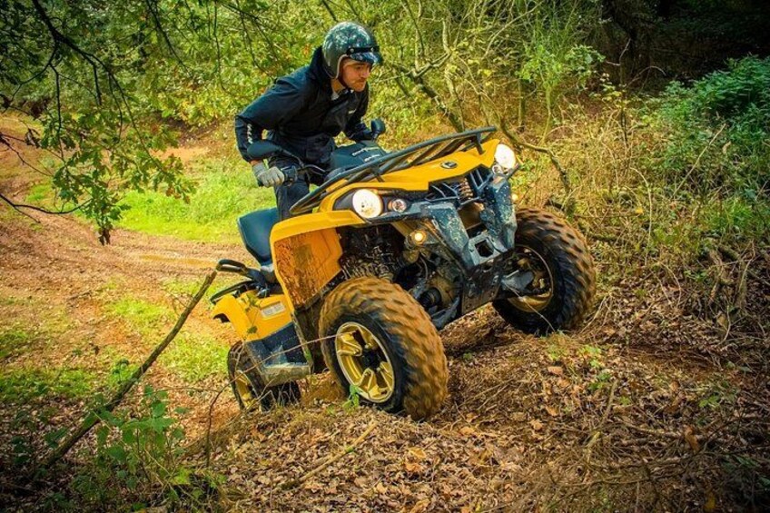 Una persona guida un quad giallo su un sentiero forestale. 3