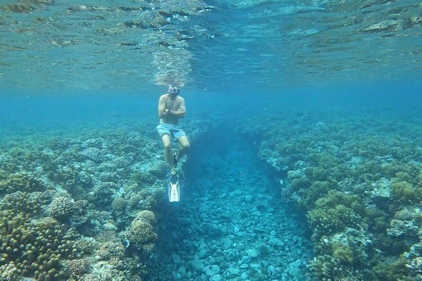 A person snorkeling underwater with coral reefs and marine life. 2