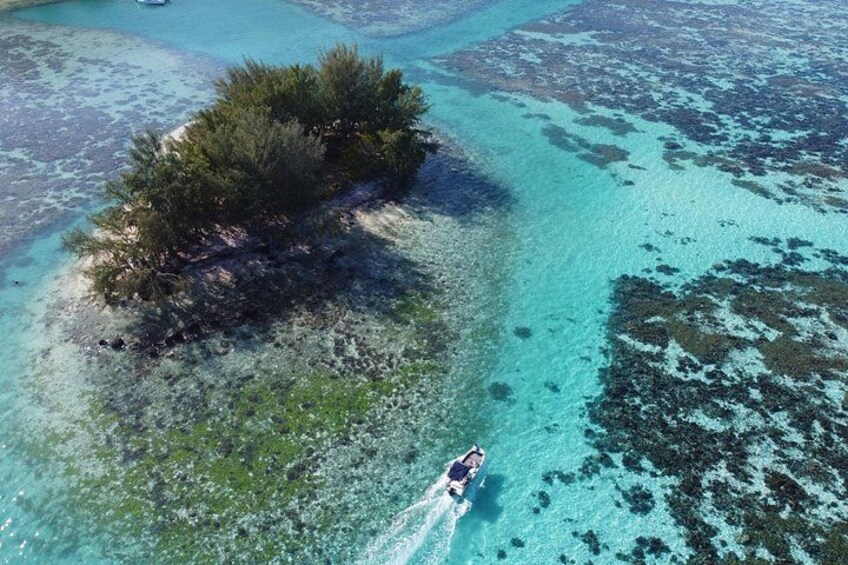 An aerial view of a turquoise sea with a small island covered in green vegetation and a person paddling a boat. 5