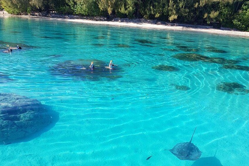 A clear turquoise sea with people swimming and a stingray visible. 1