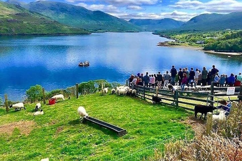 Un lago con un grupo de personas sobre un puente, ovejas pastando y un bote en el agua. 5