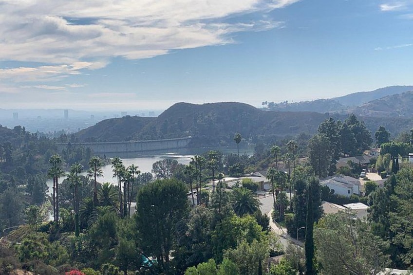 A bridge, palm trees, and a hilly landscape. 4