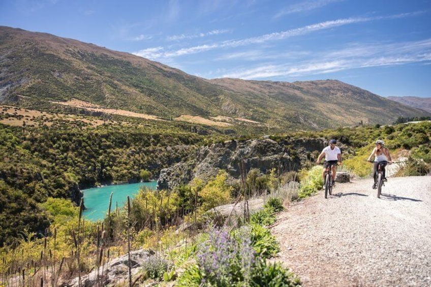 Bike The Wineries (Full-Day) - Bike & Wine Tour 2