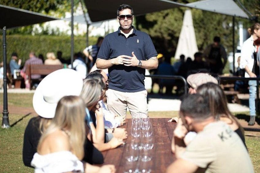 Brisbane: Hop on Hop off Wine tasting tour to Tamborine Mountain 5