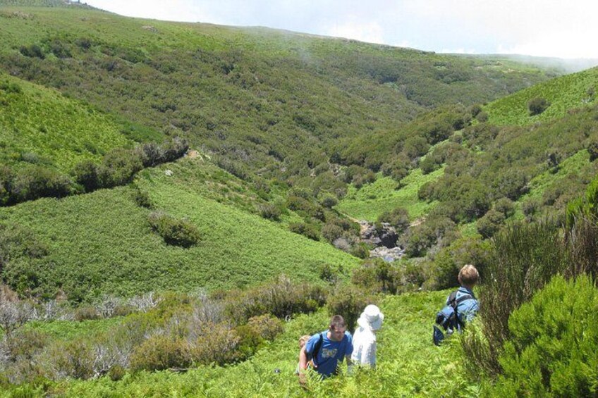 A hilly landscape with dense greenery and a small stream. 2