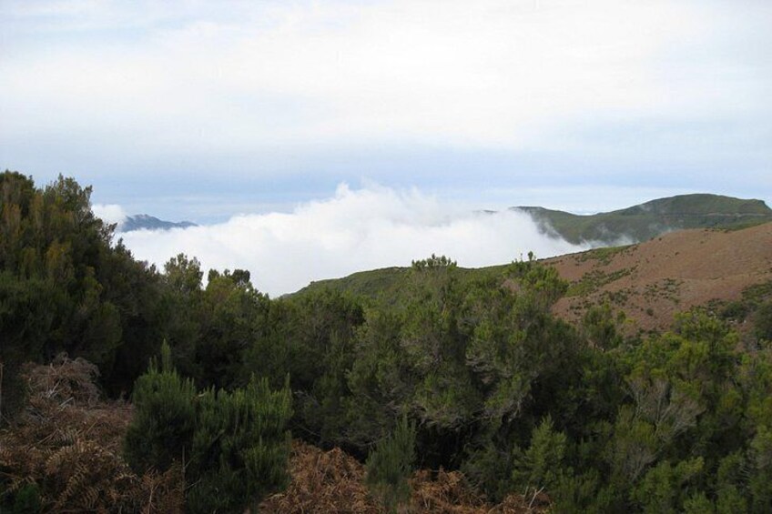 A mountainous landscape with dense green vegetation and a layer of clouds at the base. 4