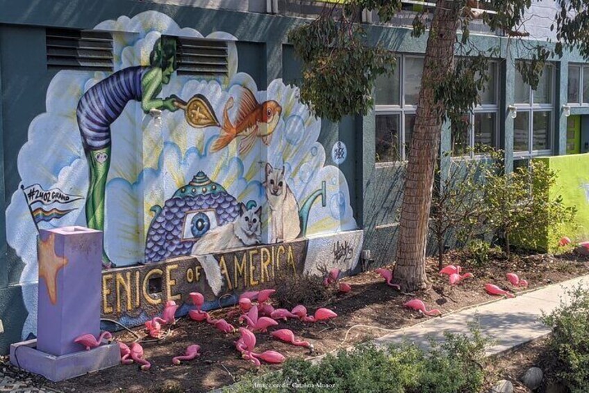 Visit Venice Beach Neighbourhood: Private 2-hour Walking Tour