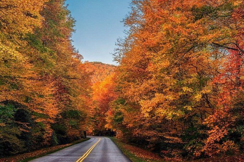 Scenic Driving Tour of the Blue Ridge Mountains 2