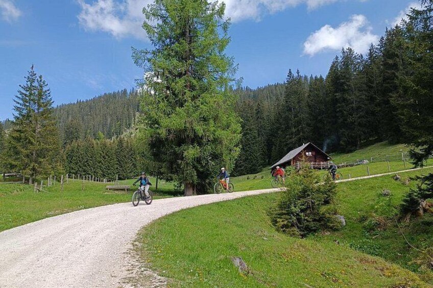 Guided e-bike tour of the alpine pastures in the Salzkammergut 3