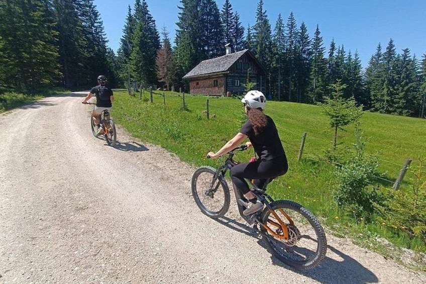 Guided e-bike tour of the alpine pastures in the Salzkammergut 5