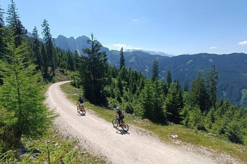 Guided e-bike tour of the alpine pastures in the Salzkammergut 4