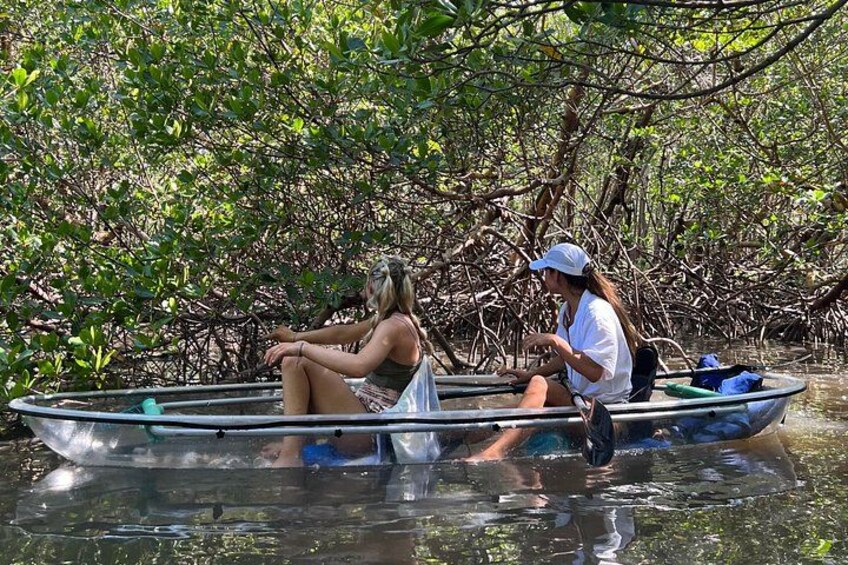 Clear Kayak Guided Eco Tour in North Naples 1