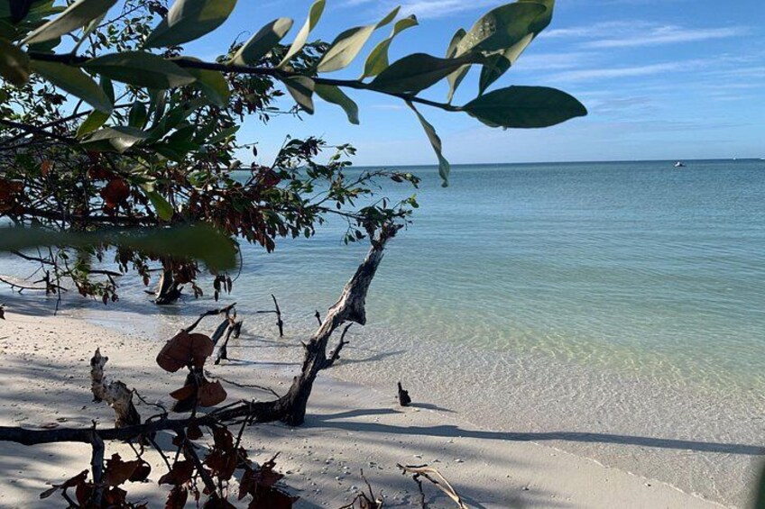 Clear Kayak Guided Eco Tour in North Naples 3