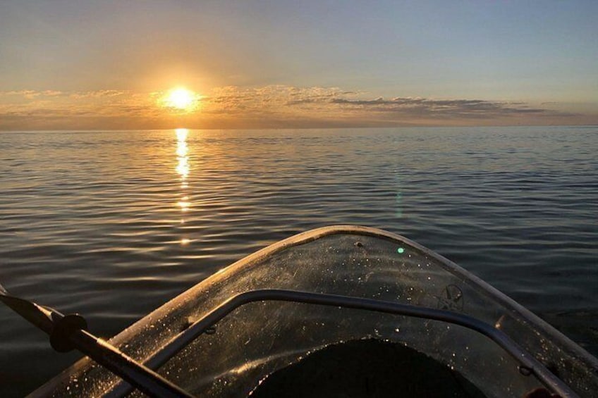 Clear Kayak Guided Eco Tour in North Naples 2