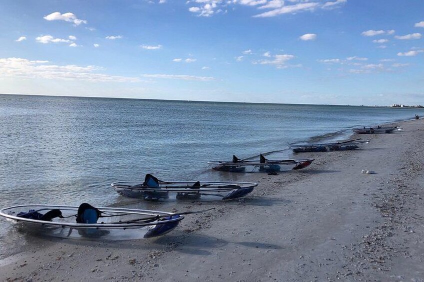 Clear Kayak Guided Eco Tour in North Naples 2