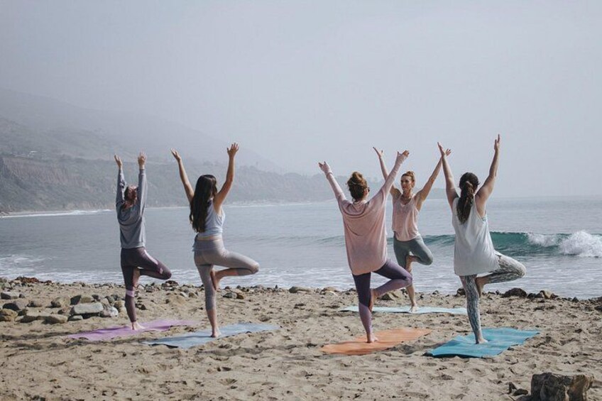 Lezioni di Surf per Beginner e Intermedi (6 persone a istruttore) 1
