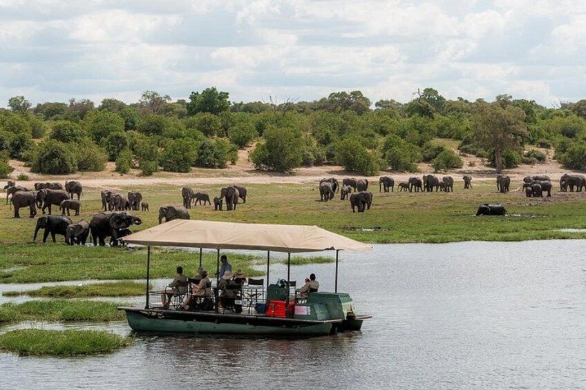 2 Nights 3 Days Chobe Safari ex Livingstone/ Victoria Falls 3