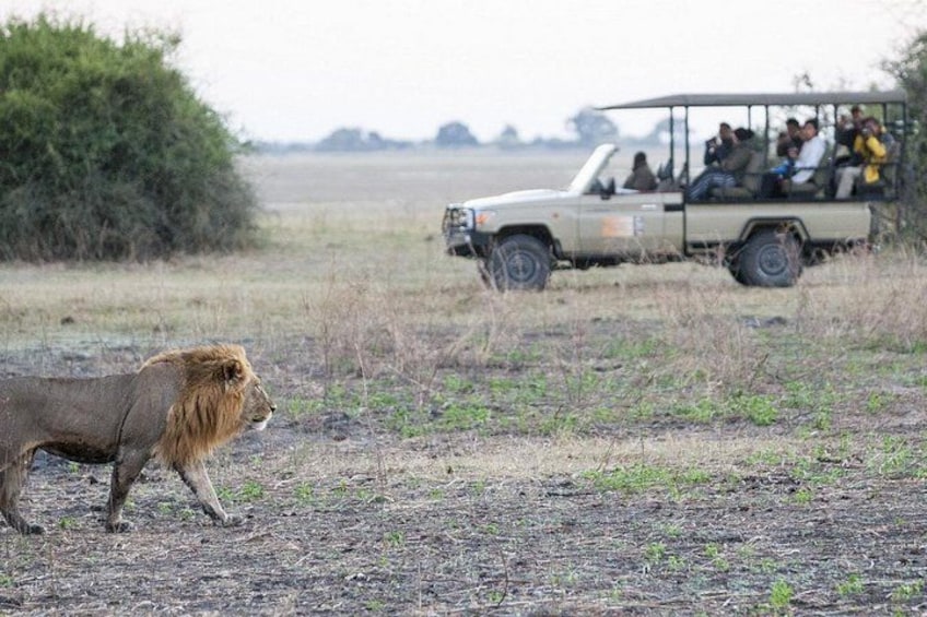 2 Nights 3 Days Chobe Safari ex Livingstone/ Victoria Falls 4