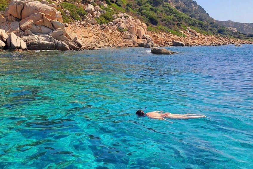 Snorkeling in Figarolo 3