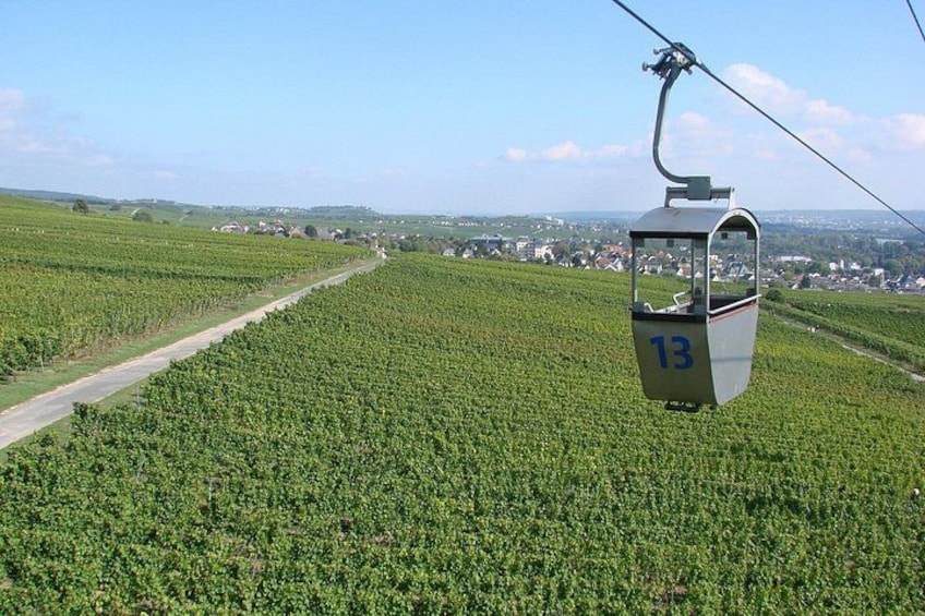 A cable car numbered 13 moving over a vineyard. 1