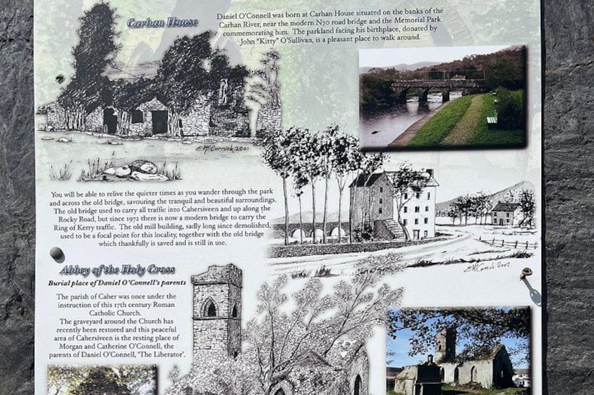 Private Tour:Ring of Kerry,Kerry Cliffs from Kenmare, Sneem etc. 4