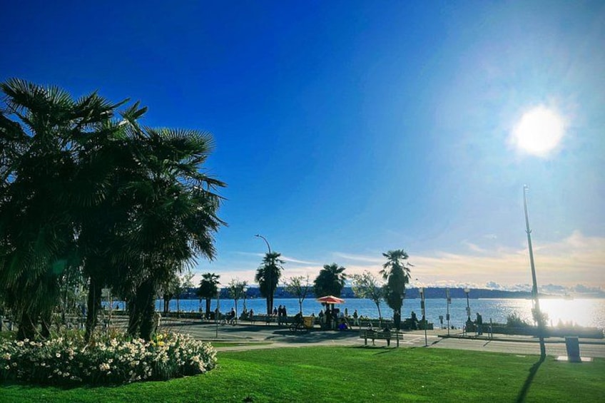 A park with palm trees, a grassy area, and a body of water in the background. 3