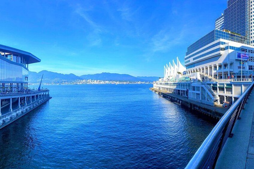Vancouver Whale Watching Adventure with City tour 2