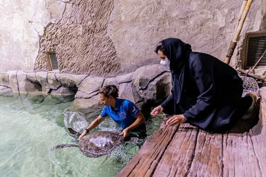 The National Aquarium Abu Dhabi