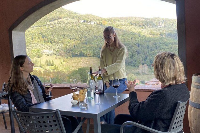Tuscan Wine Tour in Lucca by van 3