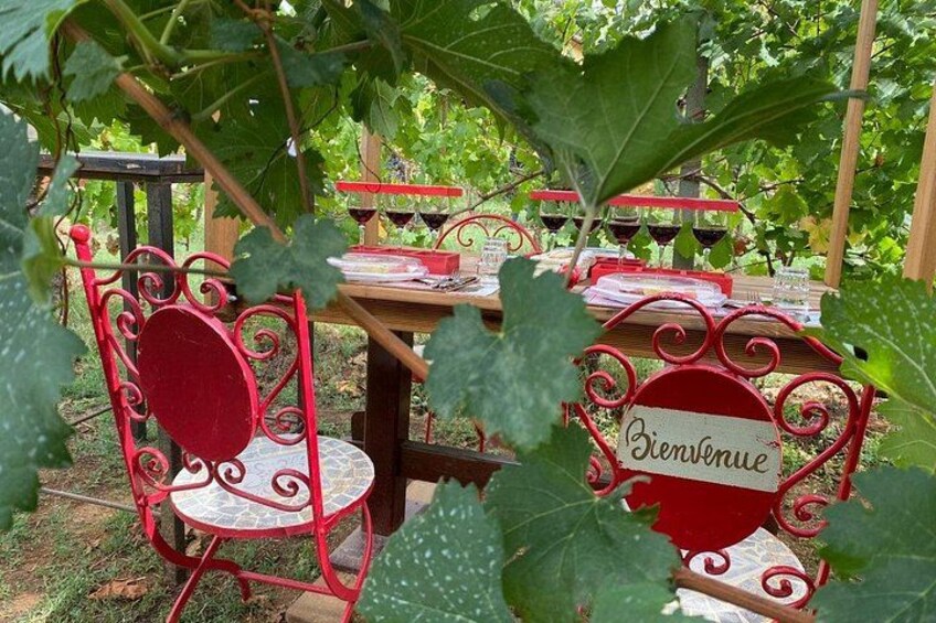 A garden setting with red metal chairs and a table with a sign that reads 'Bienvenue'. 3