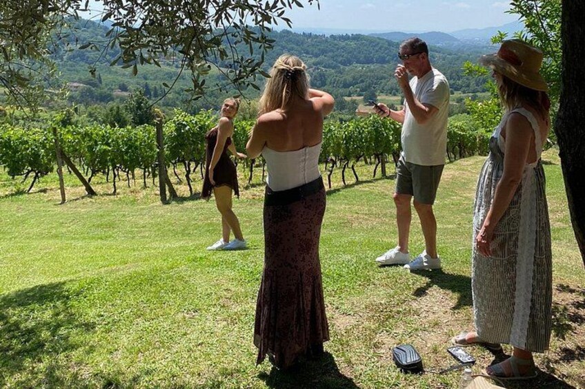 Tuscan Wine Tour in Lucca by van 4