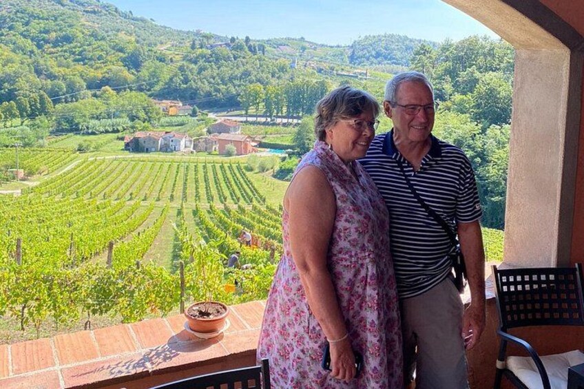 Tuscan Wine Tour in Lucca by van 5