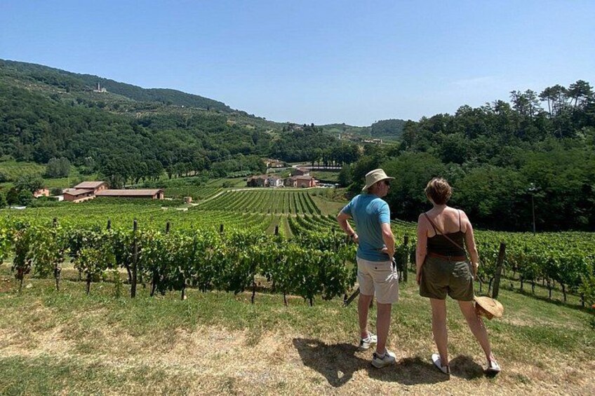 Tuscan Wine Tour in Lucca by van 4