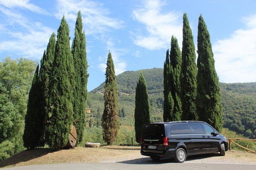 Tuscan Wine Tour in Lucca by van 2