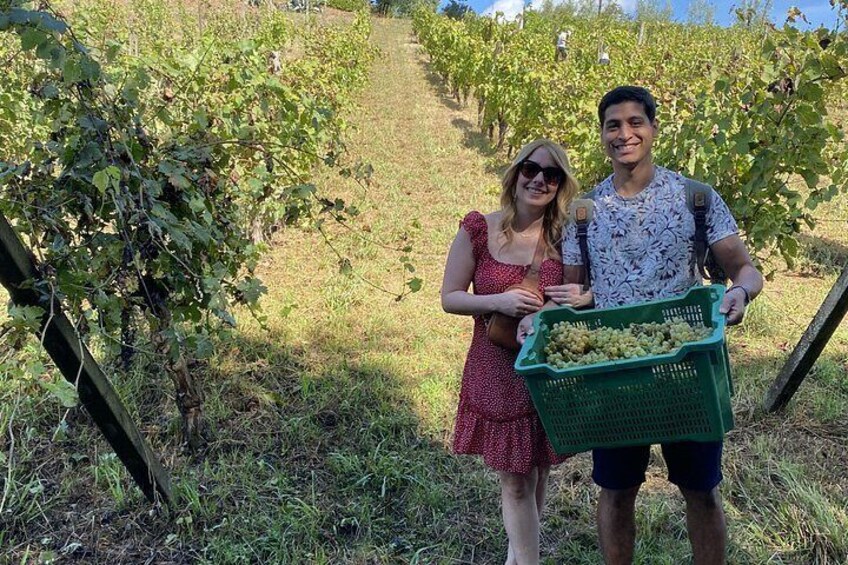 Tuscan Wine Tour in Lucca by van 4