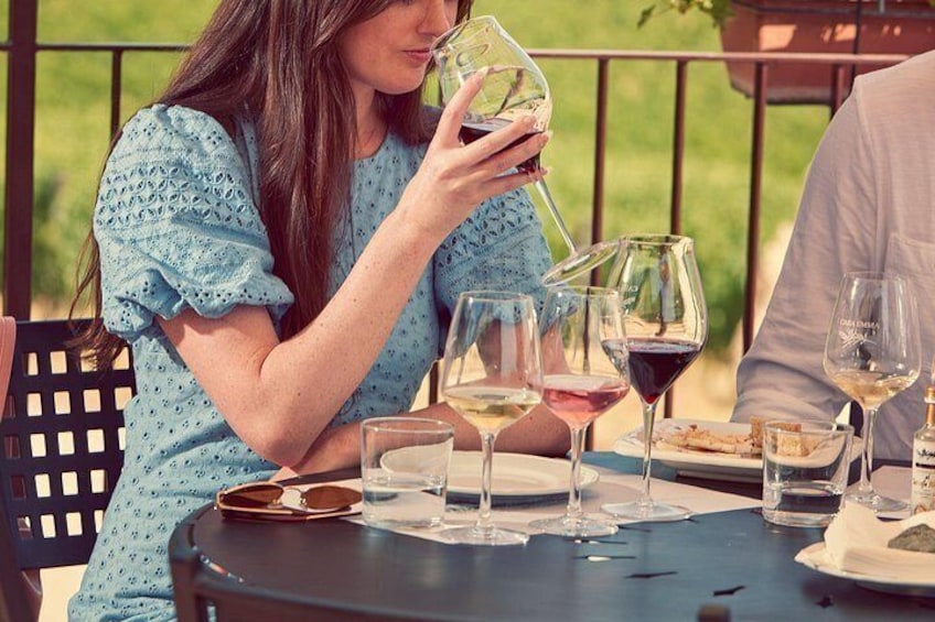Organic Wine Tour&Tasting overlooking Chianti Classico Vineyards 2