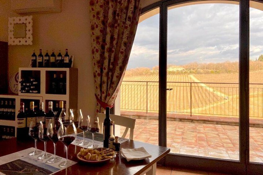 Organic Wine Tour&Tasting overlooking Chianti Classico Vineyards 2
