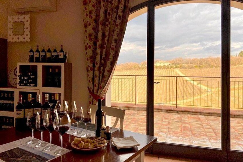 Organic Wine Tour&Tasting overlooking Chianti Classico Vineyards 2