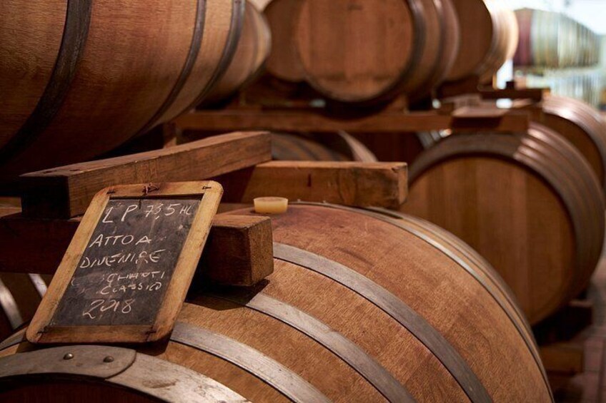 Organic Wine Tour&Tasting overlooking Chianti Classico Vineyards 5