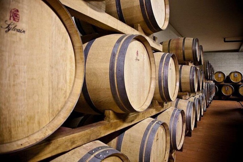 Organic Wine Tour&Tasting overlooking Chianti Classico Vineyards 2
