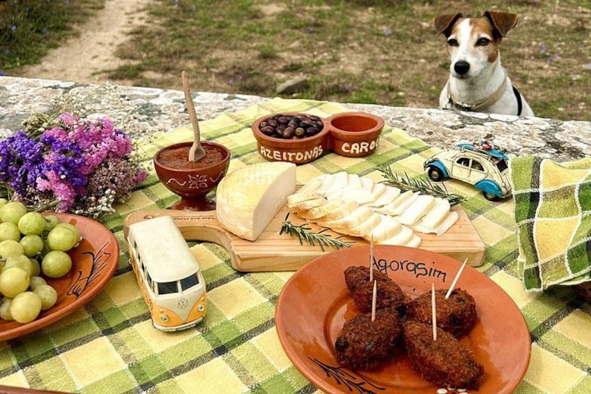 Een picknicktafel met kaas, olijven, brood en een hond. 3