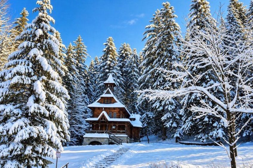 Una baita di legno circondata da alberi innevati. 4