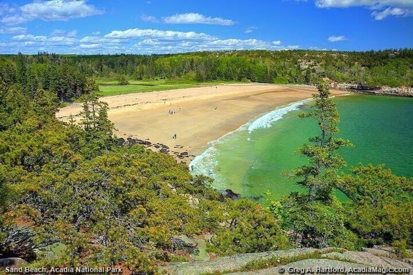 Best of Acadia Private Tour: Cadillac Mountain & Park Loop Road 4