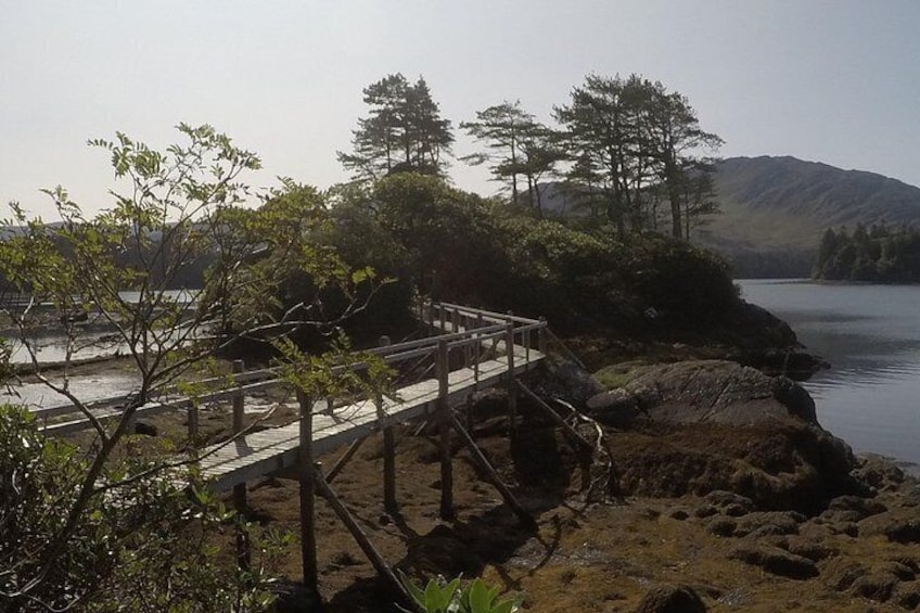 Private Tour: Ring of Beara from Killarney. 3